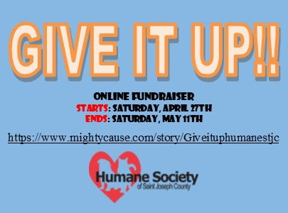 Fundraiser image