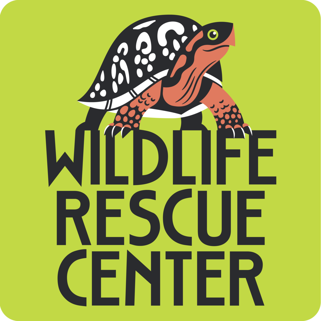 Wildlife Rescue Center | Earth Gives