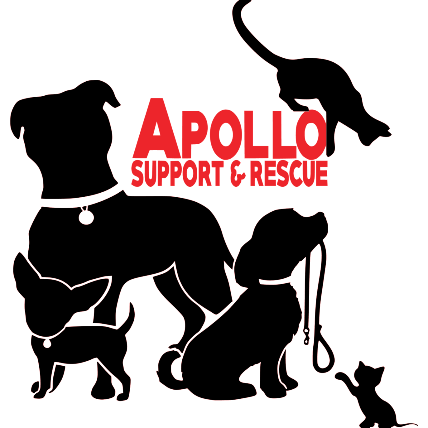 Apollo Support & Rescue | North Texas Giving Day