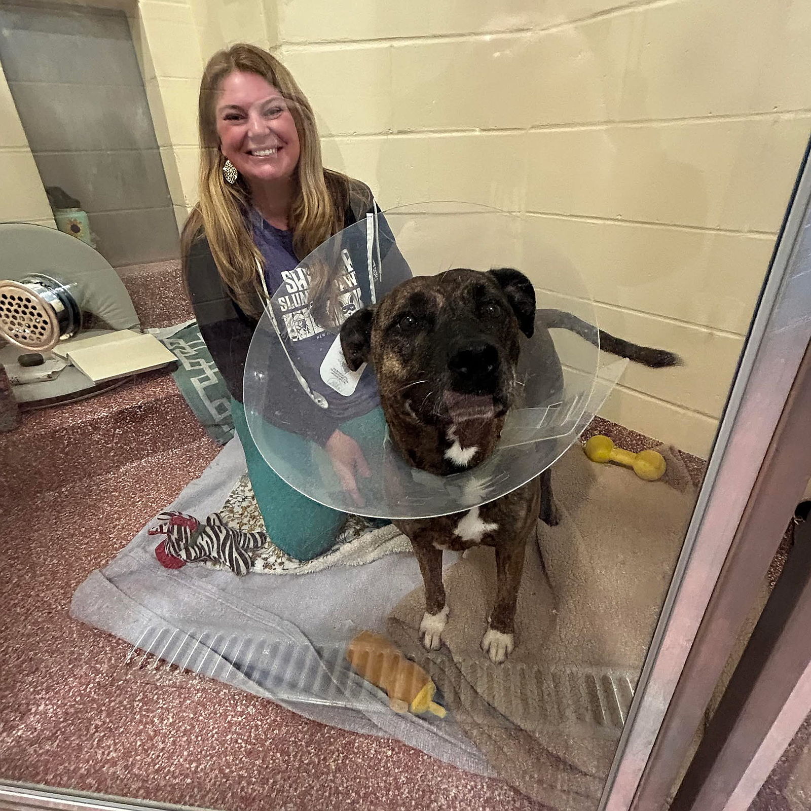 2025 shelter slumber pawty