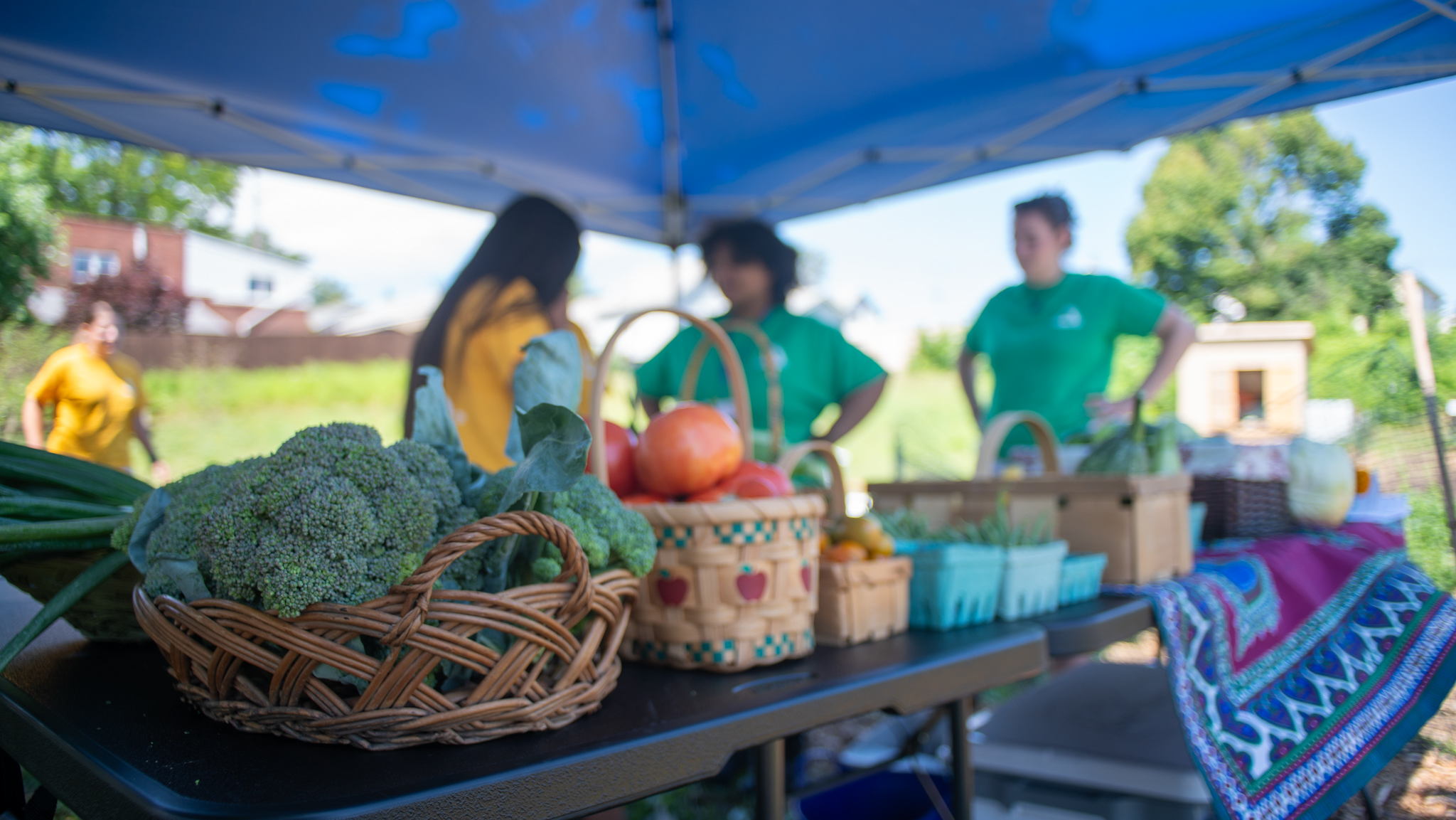 Fundraiser image