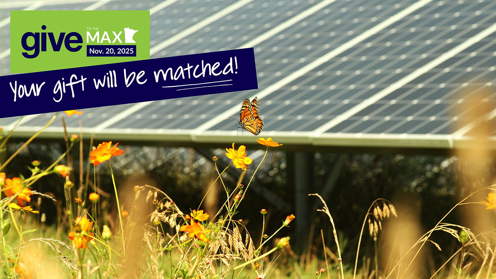 Solar panels with butterfly and pollinator habitat