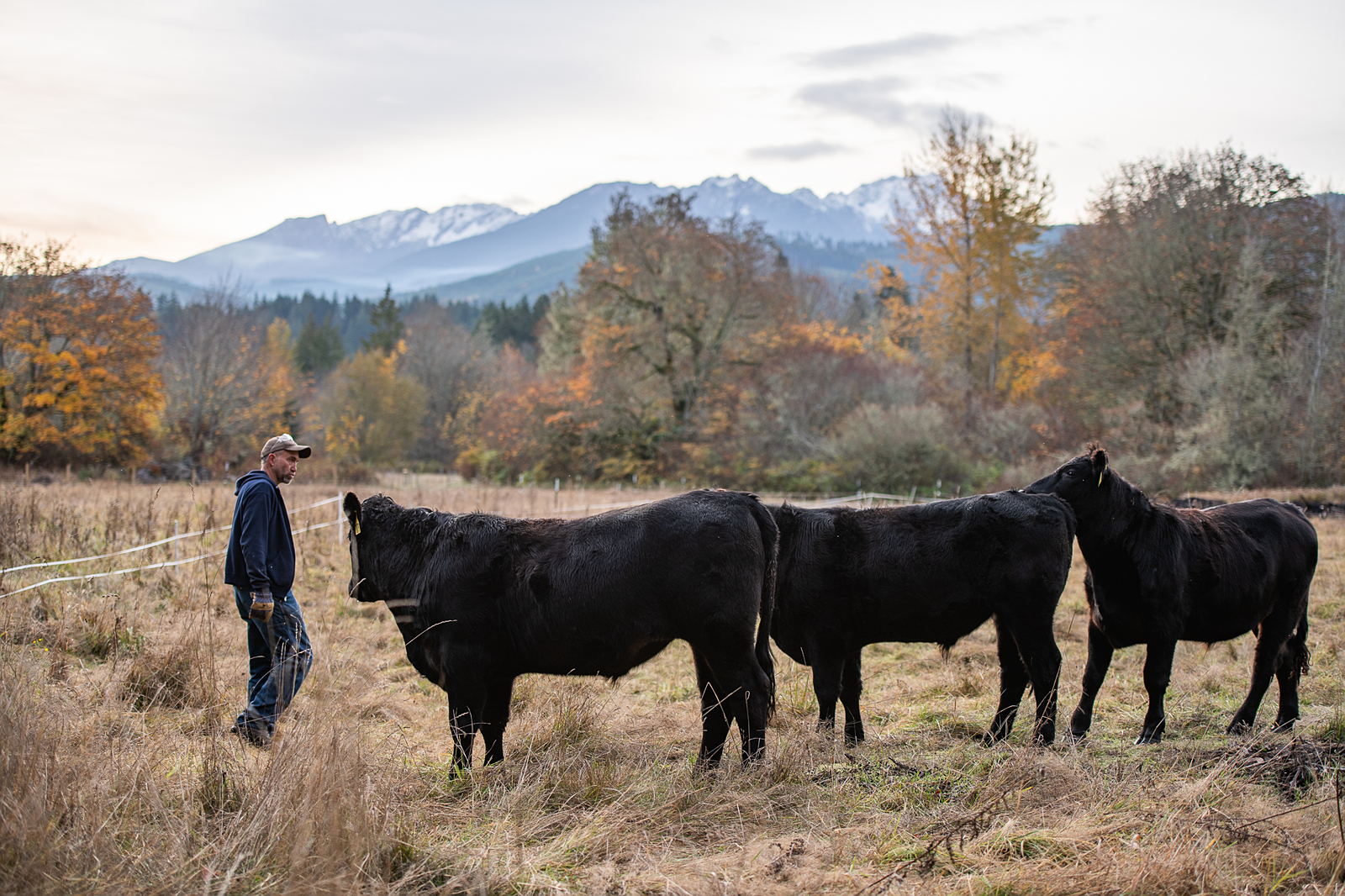 Jim Weaver of Wild Edge Farm in Port Angeles, Isaac Gautschi
