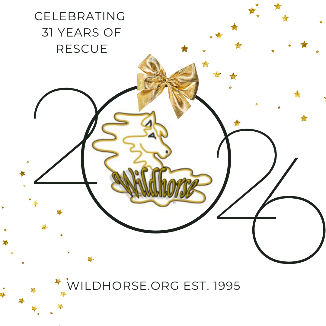 Wildhorse Ranch Rescue | Arizona Gives