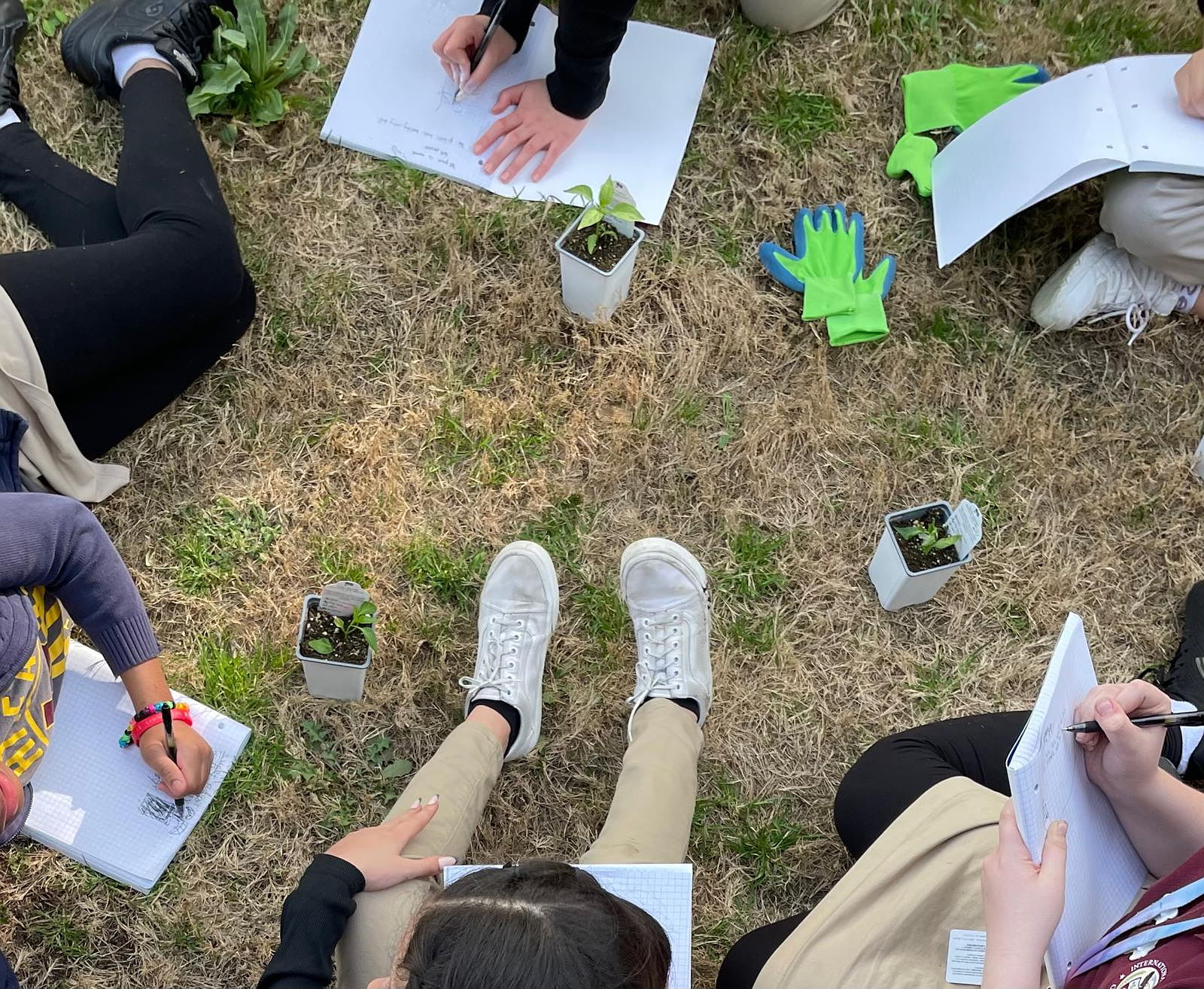 A student holds a notebook, pen, and a serrano pepper that has a wax bandage where another pepper plant was grafted onto its stem