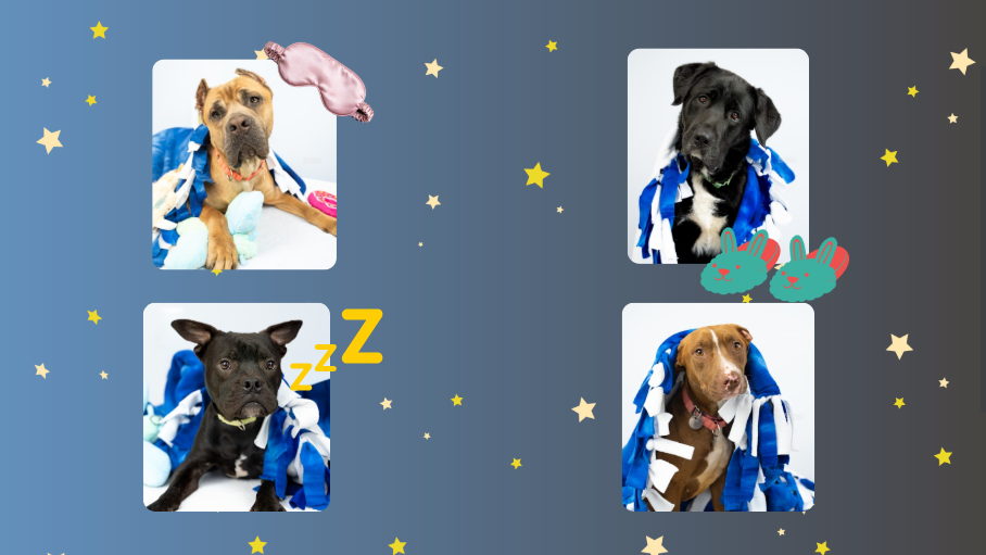 Tile background Image