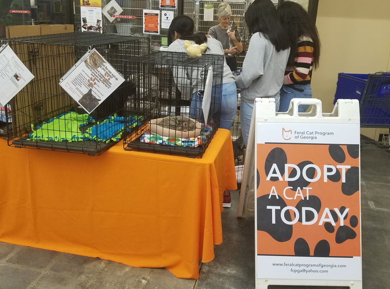 Fundraiser image