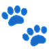 🐾