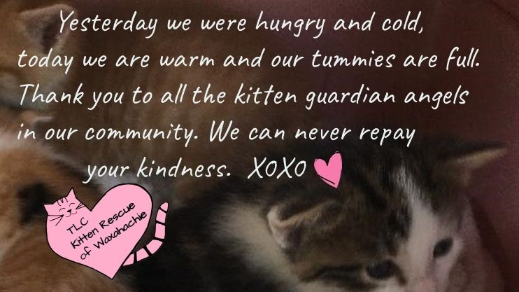 Fundraiser image