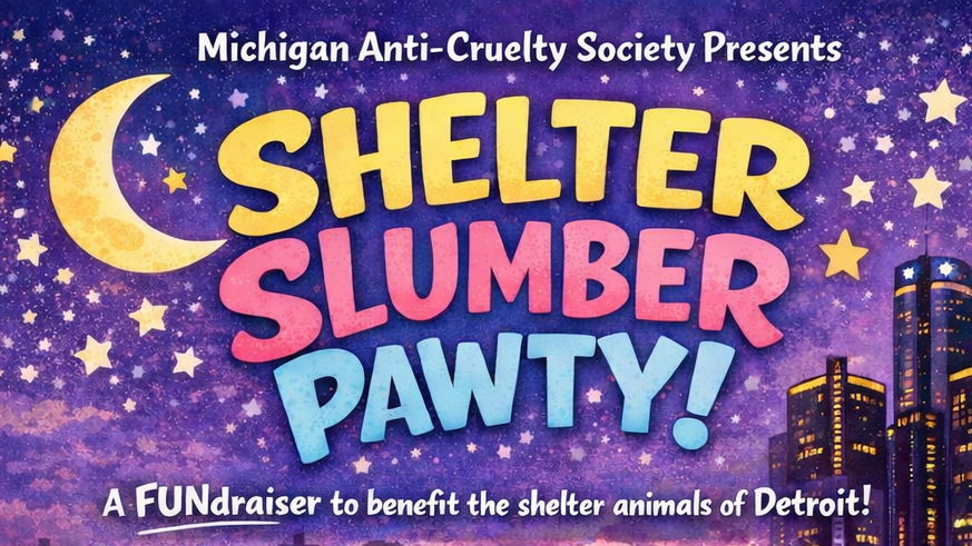 Fundraiser image