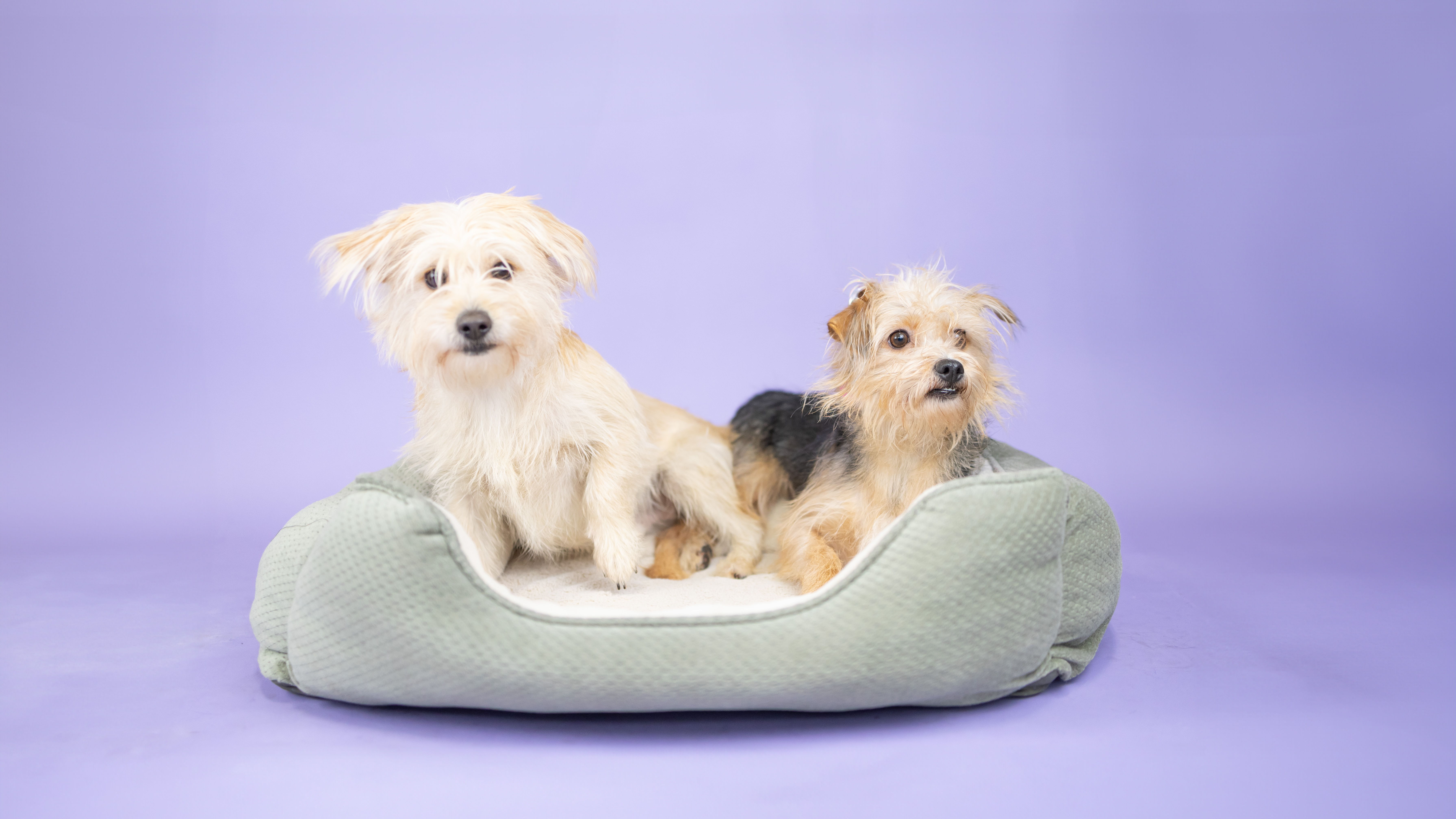 Tile background Image