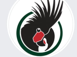 Fundraiser image