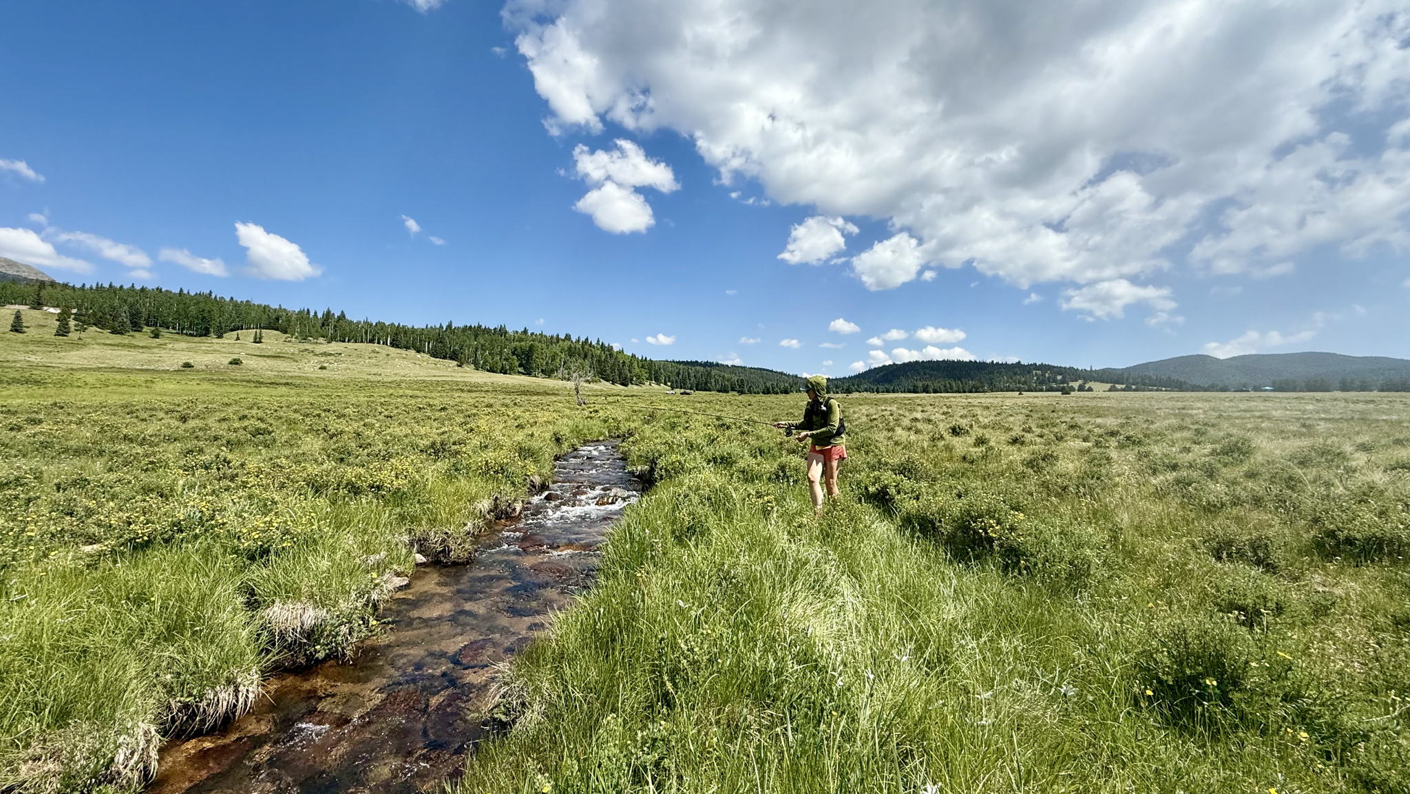 Fundraiser image